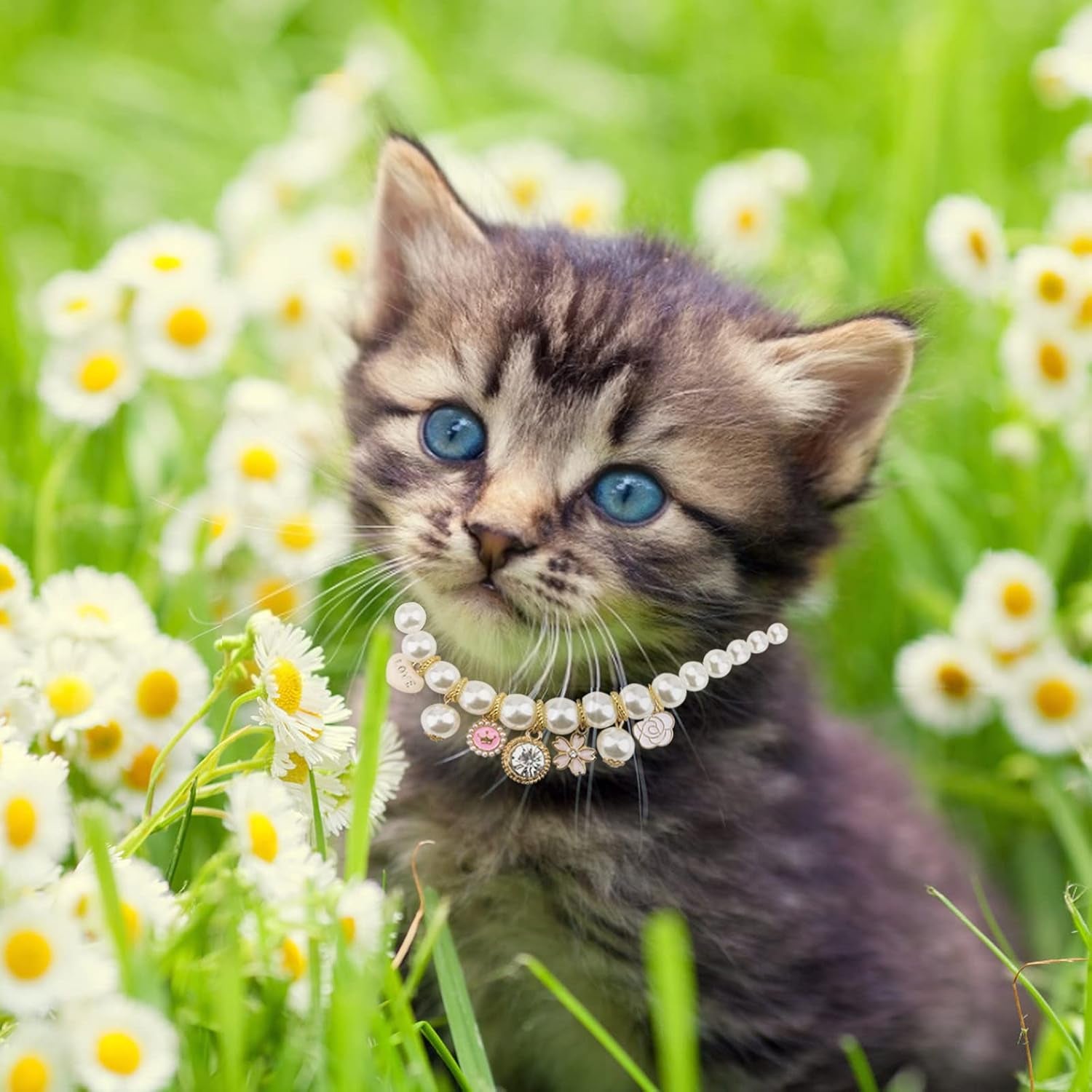 Pet Pearl Collar, 1 Pack Dog Pearls Necklace Collar Adjustable Pearl Dog Necklace with Rhinestone Pendant for Small Dogs Cats Puppy Kitten, S