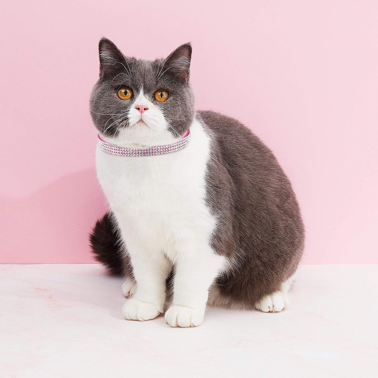 4 Pieces Rhinestones Cat Collars Breakaway Cat Collar with Bell Bling Pet Accessories with Soft Velvet, 4 Colors(Xs,Light Green, Light Blue, Light Purple, Rose Red)