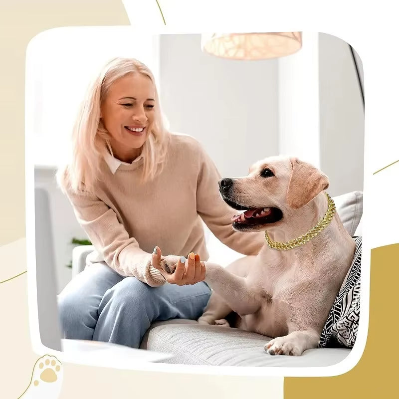 Dog Chain Collar Luxury Gold Pet Metal Chain Collar for Small Medium Large Dogs Cats Pet Jewelry Necklace Accessorie