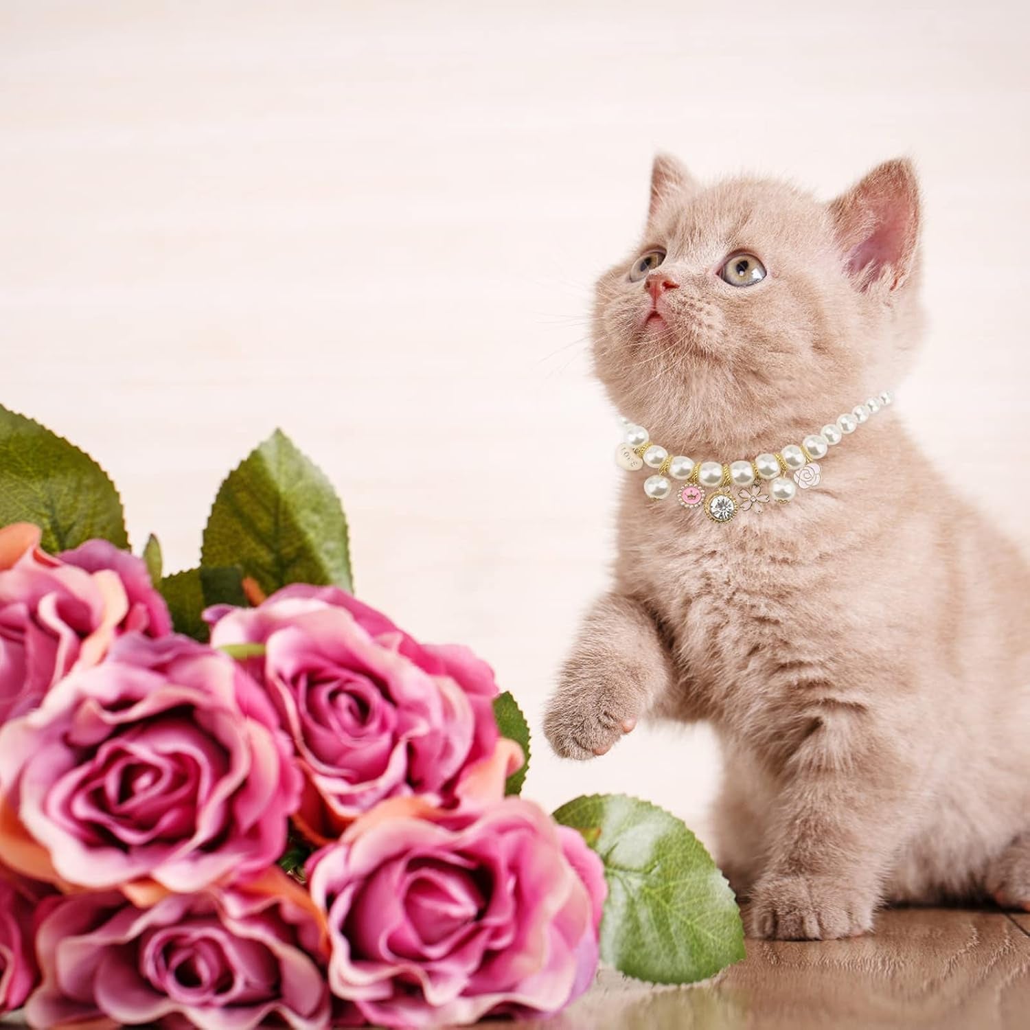 Pet Pearl Collar, 1 Pack Dog Pearls Necklace Collar Adjustable Pearl Dog Necklace with Rhinestone Pendant for Small Dogs Cats Puppy Kitten, S